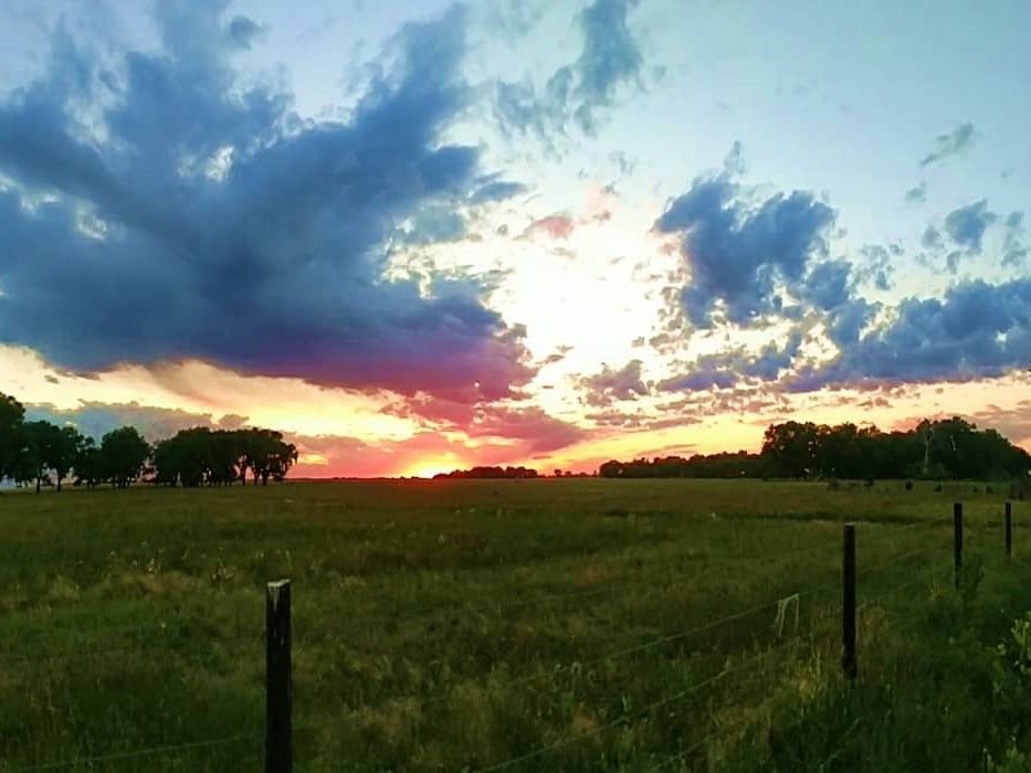 Listing Photo: holt-county-ne-400-acres-pasture (9)